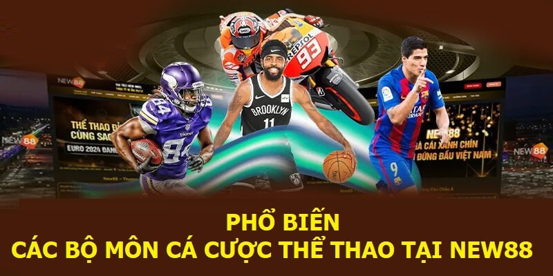 Phổ biến các bộ môn cá cược thể thao tại New88