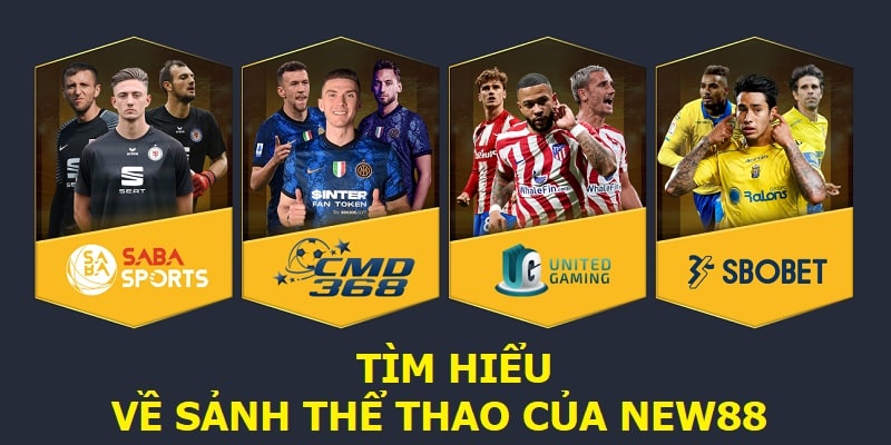 Tìm hiểu về sảnh Thể thao của New88